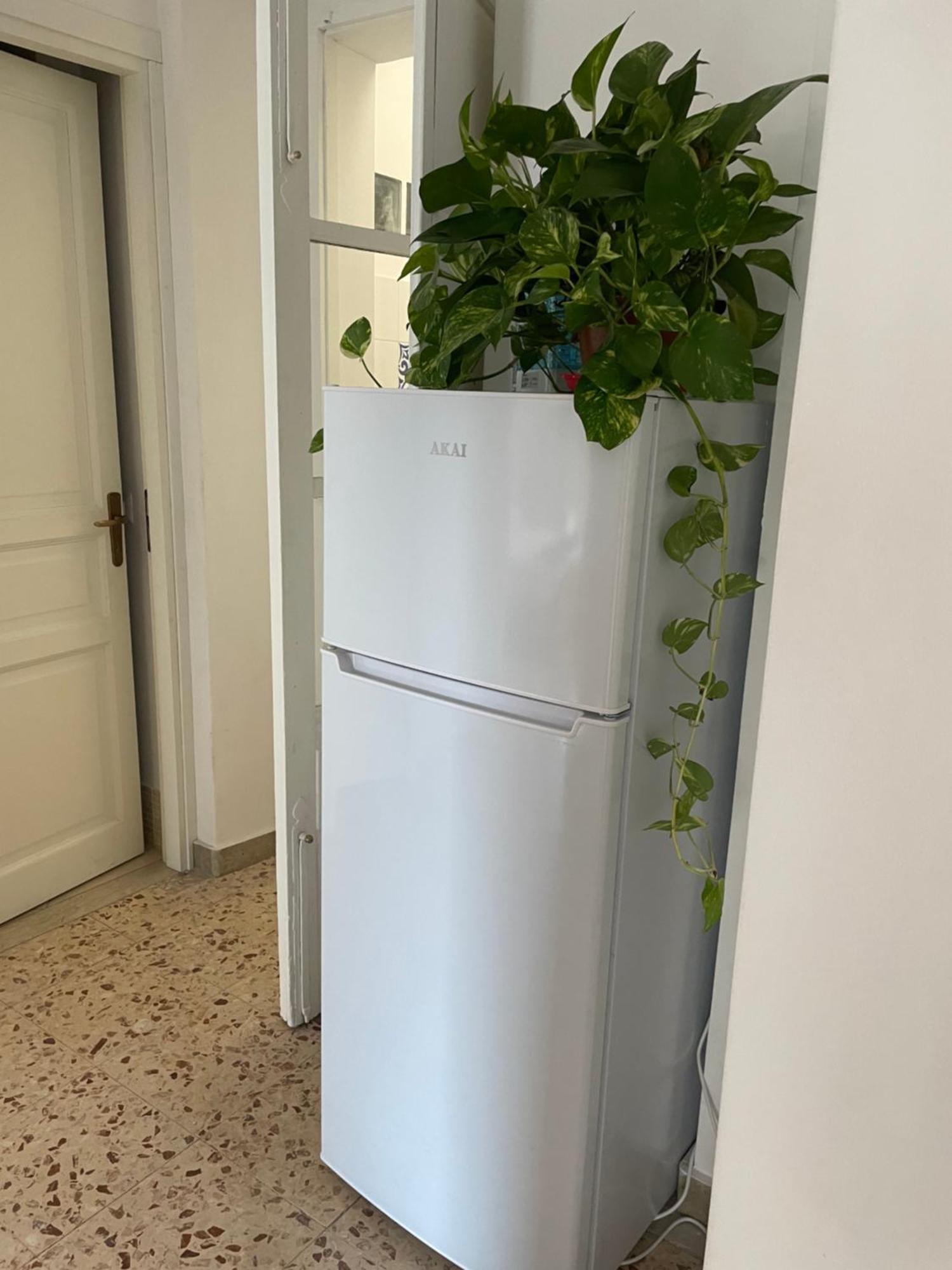 Lorenzo'S House Catania City Centre - Comfortable Large Apartment With 2 Bedrooms And 2 Baths, Close To Trains, Metro And Bus Station 外观 照片